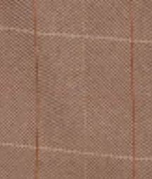 Asymmetric Tailored Skirt In Camel-Multi Check