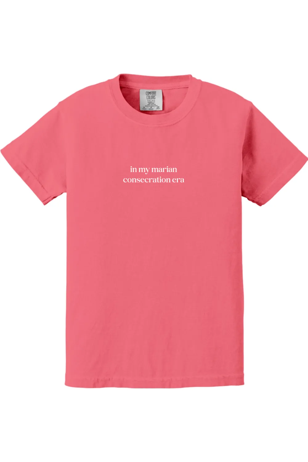 In My Marian Consecration Era Youth T-shirt - Comfort Colors