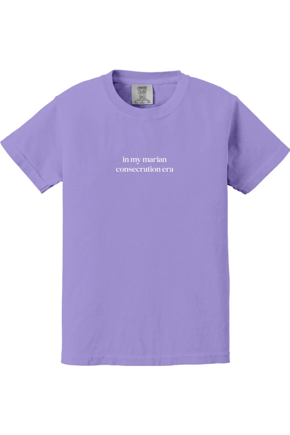 In My Marian Consecration Era Youth T-shirt - Comfort Colors